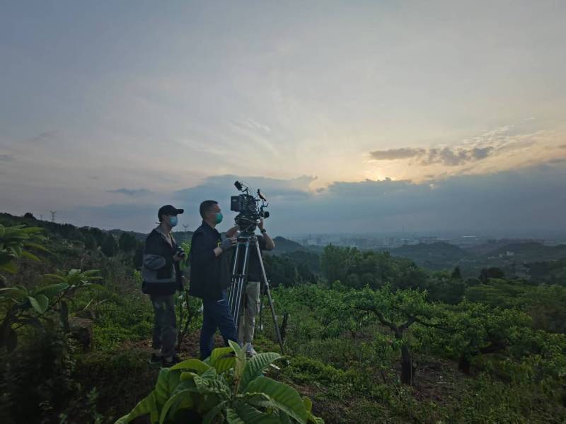 创意破圈！嘉祥县电商产品宣传视频用故事化叙事引爆流量