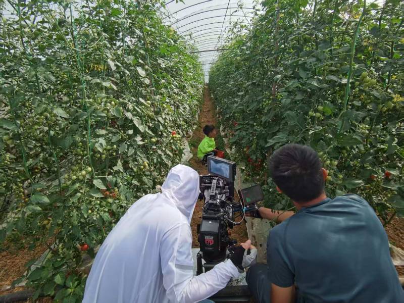 嘉祥县产品宣传视频拍摄公司进阶指南，助力品牌抢占传播高地